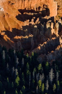 Bryce Canyon